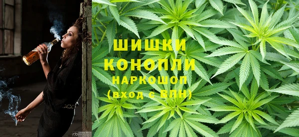 Альфа ПВП Алзамай