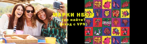 индика Новокубанск