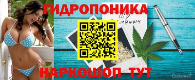 ALPHA PVP Заволжье