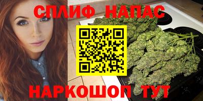 PSILOCYBIN Заводоуковск