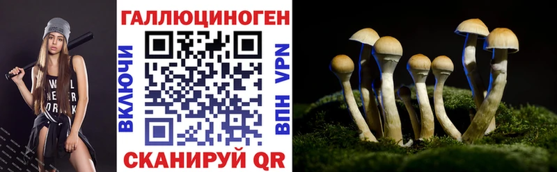 Галлюциногенные грибы Psilocybine cubensis  сколько стоит  Тайшет 
