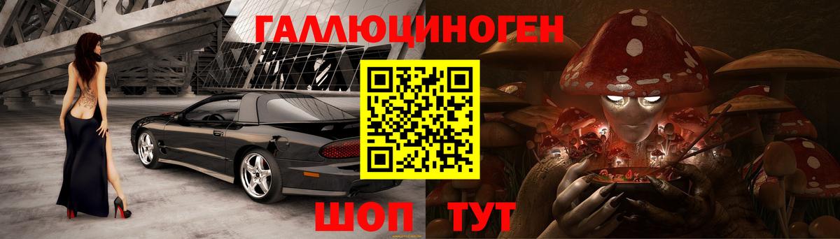 Псилоцибиновые грибы MAGIC MUSHROOMS  Галлюциногенные грибы Cubensis  Вход с VPN  Тайшет 